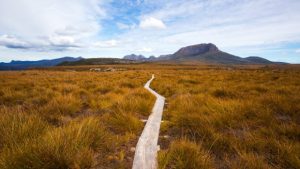 Cradle Mountain Coache transports you to the start of the overland Track