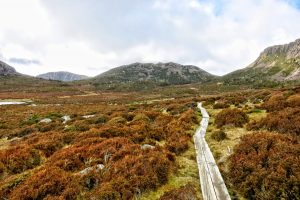 Cradle Mountain Coaches transports you to the start of the overland Track