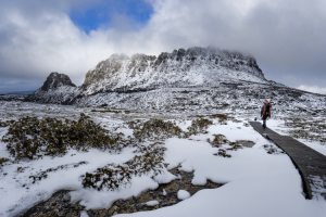 Cradle Mountain Coache transports you to the start of the overland Track