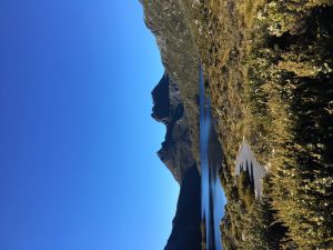 Cradle Mountain Coaches transports you to the start of the overland Track