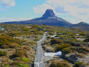 Cradle Mountain Coache transports you to the start of the overland Track