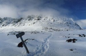 Cradle Mountain Coache transports you to the start of the overland Track