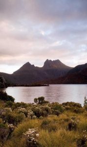 cradle mountain coaches