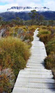 Cradle Mountain Coaches transports you to the start of the overland Track